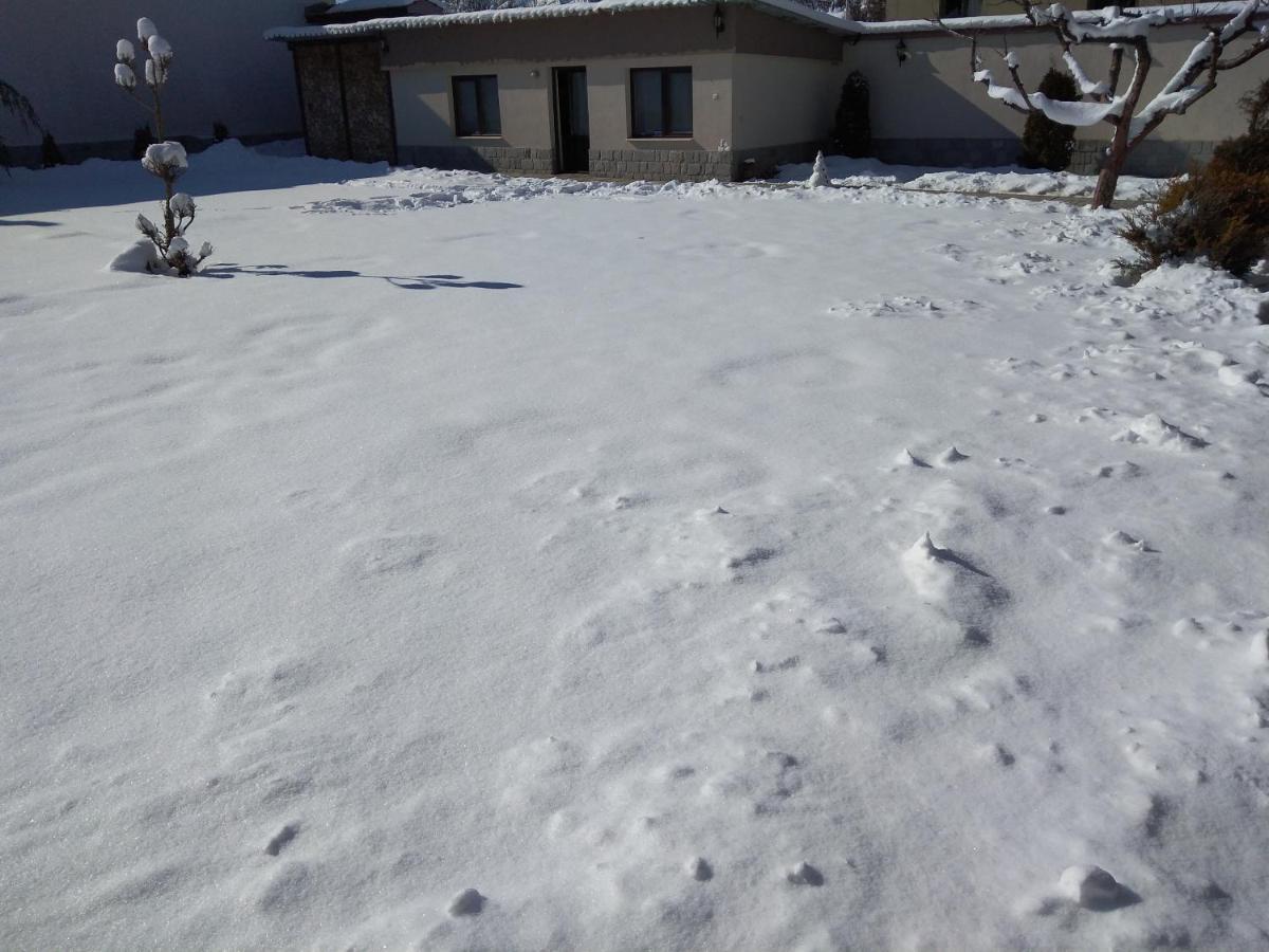Sveti Nikola Villas Near Borovets Șiroki Dol Exterior foto